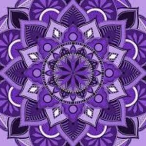 Meet your Posher, Molly